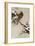 Goshawk on a Snow Covered Pine Branch-Koson Ohara-Framed Giclee Print