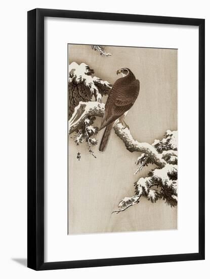 Goshawk on a Snow Covered Pine Branch-Koson Ohara-Framed Giclee Print