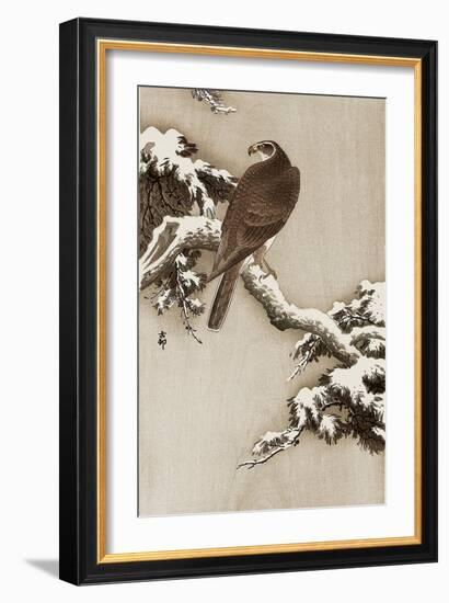 Goshawk on a Snow Covered Pine Branch-Koson Ohara-Framed Giclee Print