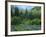 Goshute Canyon, Nevada. Riparian Vegetation in Canyon of Goshute Creek-Scott T. Smith-Framed Photographic Print