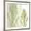 Gossamer Greens-Erin Clark-Framed Art Print