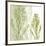 Gossamer Greens-Erin Clark-Framed Art Print