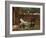 Gossip, C. 1885-John William Waterhouse-Framed Giclee Print