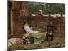 Gossip, C. 1885-John William Waterhouse-Mounted Giclee Print