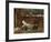 Gossip, C. 1885-John William Waterhouse-Framed Giclee Print