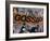 Gossiping-Dan Monteavaro-Framed Giclee Print