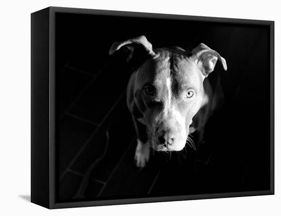 Got Love?-Sharon Wish-Framed Premier Image Canvas