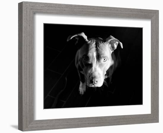 Got Love?-Sharon Wish-Framed Photographic Print