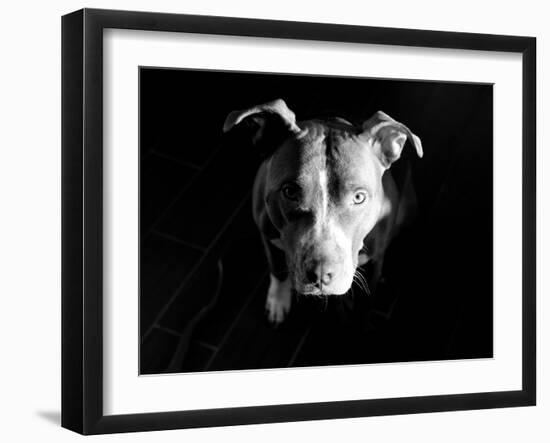 Got Love?-Sharon Wish-Framed Photographic Print