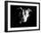 Got Love?-Sharon Wish-Framed Photographic Print