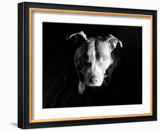 Got Love?-Sharon Wish-Framed Photographic Print