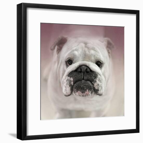 Got Treat Bulldog Puppy-Jai Johnson-Framed Giclee Print