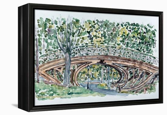 Gothic Bridge, Central Park-Anthony Butera-Framed Premier Image Canvas