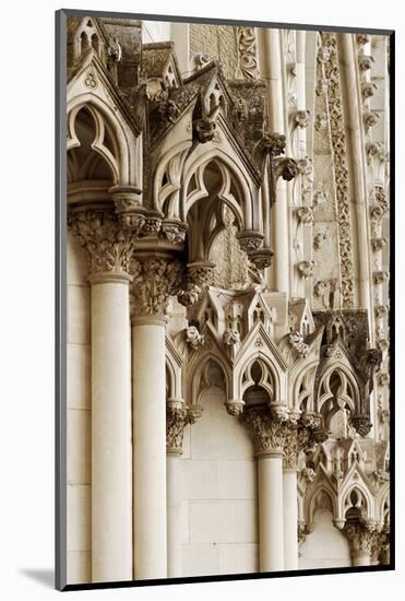 Gothic Cathedral Stone Detail-null-Mounted Art Print