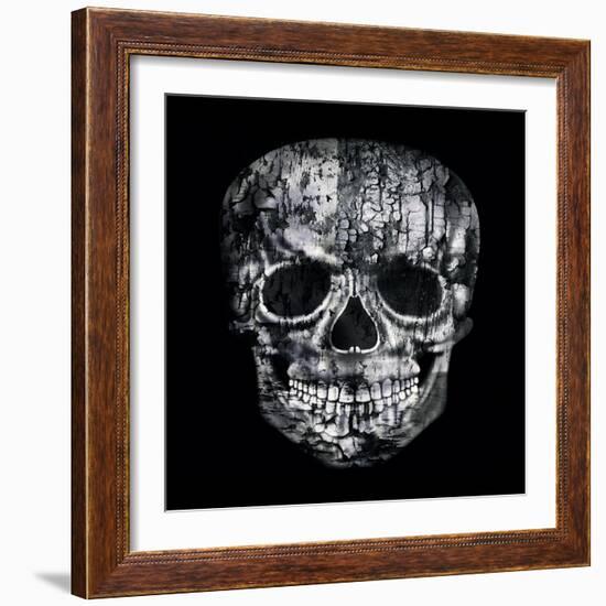 Gothic Image of a Human Skull in Black and White Isolated on Black Background-Valentina Photos-Framed Art Print