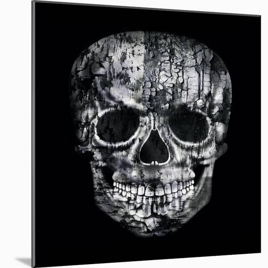 Gothic Image of a Human Skull in Black and White Isolated on Black Background-Valentina Photos-Mounted Art Print