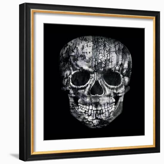 Gothic Image of a Human Skull in Black and White Isolated on Black Background-Valentina Photos-Framed Art Print