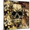 Gothic Image of a Human Skull-Valentina Photos-Mounted Art Print