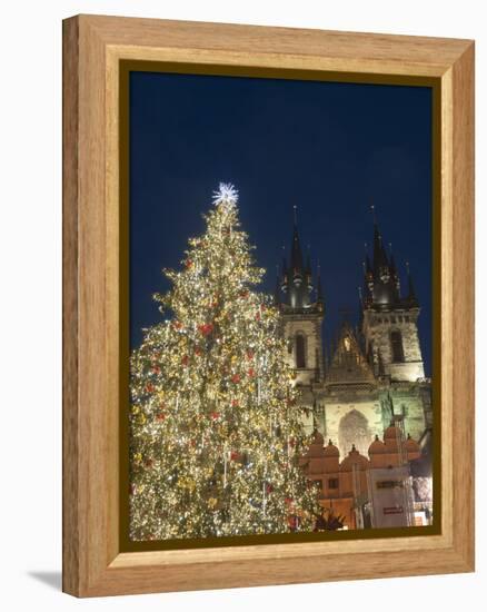 Gothic Tyn Church, Christmas Tree at Twilight in Old Town Square, Stare Mesto, Prague-Richard Nebesky-Framed Premier Image Canvas