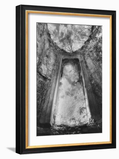 Gothic Window, Castle Bernard, County Cork, Ireland-Simon Marsden-Framed Giclee Print