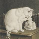 Two White Cats with Books on a Table-Gottfried Mind-Giclee Print