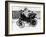 Gottlieb Daimler in an 1891 Canstatt Daimler, 1891-null-Framed Photographic Print