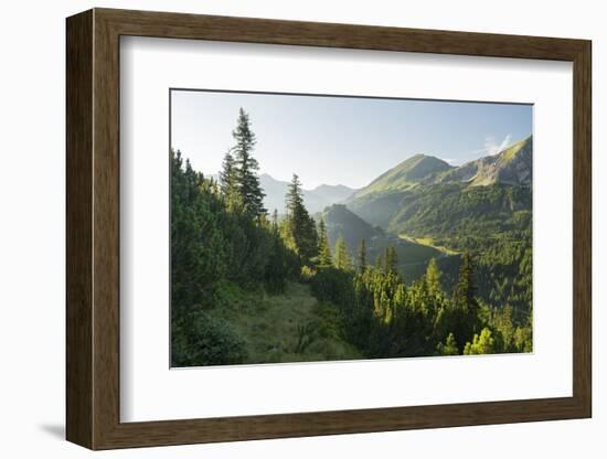 Gottschallalm, Radstadter Tauern, Salzburg, Austria-Rainer Mirau-Framed Photographic Print