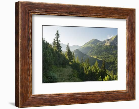 Gottschallalm, Radstadter Tauern, Salzburg, Austria-Rainer Mirau-Framed Photographic Print