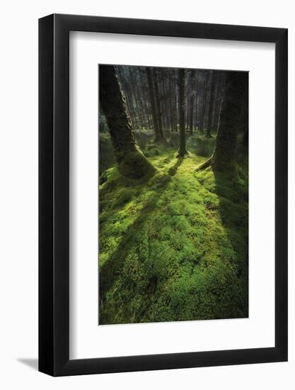 Gougane Barra National Forest Park, Ireland (photo)-null-Framed Photographic Print