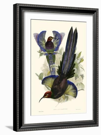 Gould Bird of Paradise III-John Gould-Framed Art Print