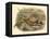 Gould Pheasants I-John Gould-Framed Stretched Canvas