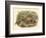 Gould Pheasants I-John Gould-Framed Art Print