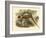 Gould Pheasants II-John Gould-Framed Art Print