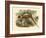 Gould Pheasants II-John Gould-Framed Art Print