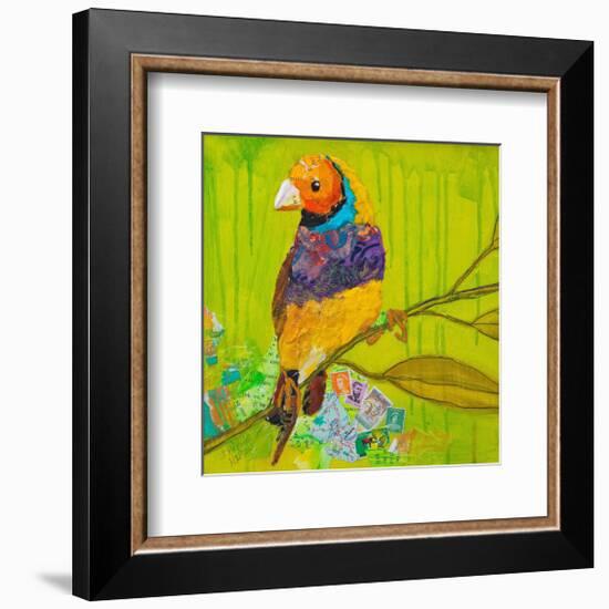 Gouldian Finch-null-Framed Premium Giclee Print