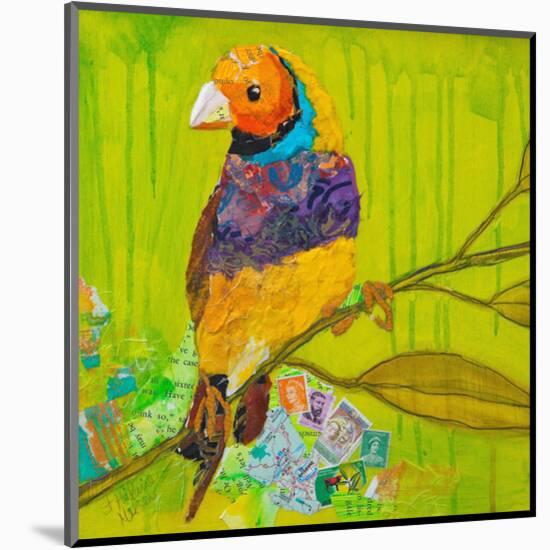 Gouldian Finch-null-Mounted Art Print