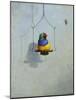 Gouldian Finch-Michael Jackson-Mounted Giclee Print