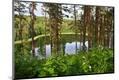 Premium Photographic Print