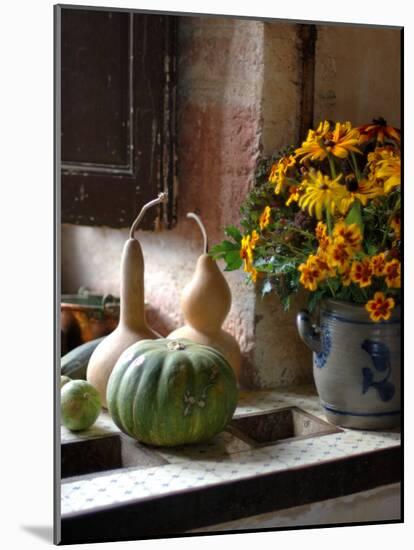Gourds and Flowers in Kitchen in Chateau de Cormatin, Burgundy, France-Lisa S. Engelbrecht-Mounted Photographic Print