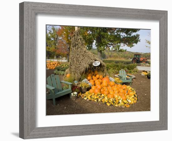 Gourds at the Moulton Farm farmstand in Meredith, New Hampshire, USA-Jerry & Marcy Monkman-Framed Photographic Print