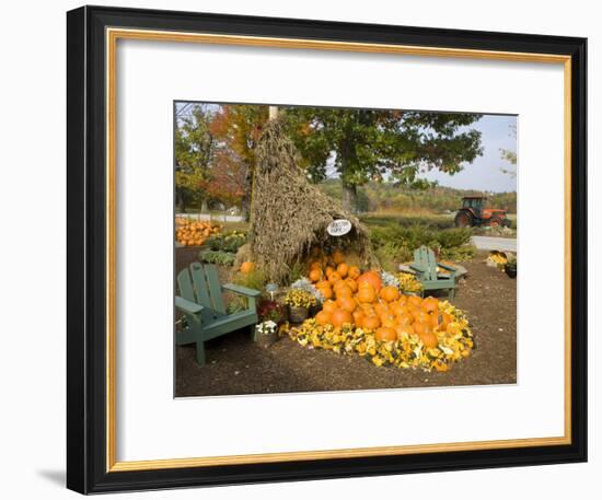 Gourds at the Moulton Farm farmstand in Meredith, New Hampshire, USA-Jerry & Marcy Monkman-Framed Photographic Print