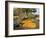 Gourds at the Moulton Farm farmstand in Meredith, New Hampshire, USA-Jerry & Marcy Monkman-Framed Photographic Print