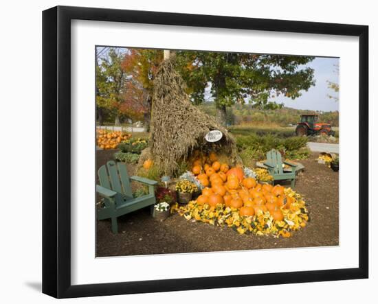 Gourds at the Moulton Farm farmstand in Meredith, New Hampshire, USA-Jerry & Marcy Monkman-Framed Photographic Print