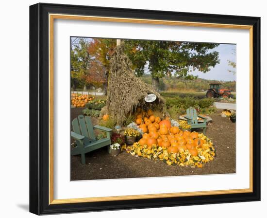 Gourds at the Moulton Farm farmstand in Meredith, New Hampshire, USA-Jerry & Marcy Monkman-Framed Photographic Print