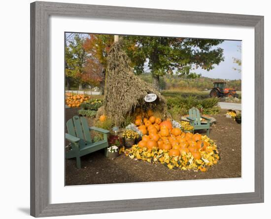 Gourds at the Moulton Farm farmstand in Meredith, New Hampshire, USA-Jerry & Marcy Monkman-Framed Photographic Print