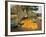 Gourds at the Moulton Farm farmstand in Meredith, New Hampshire, USA-Jerry & Marcy Monkman-Framed Photographic Print