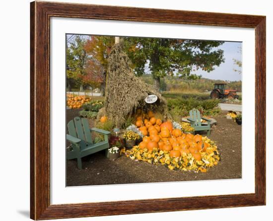 Gourds at the Moulton Farm farmstand in Meredith, New Hampshire, USA-Jerry & Marcy Monkman-Framed Photographic Print