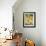 Gourds for Sale at Market Stall, Bergerac, Dordogne, France-Per Karlsson-Framed Photographic Print displayed on a wall