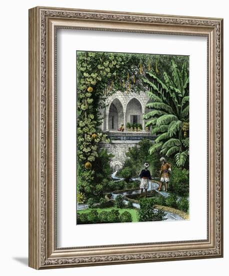 Gourds Grown as a Vine in an Arab Garden, Palestine, 19th Century--Framed Giclee Print