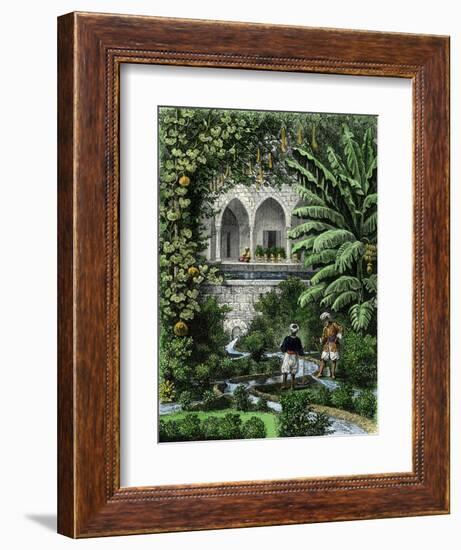 Gourds Grown as a Vine in an Arab Garden, Palestine, 19th Century-null-Framed Giclee Print